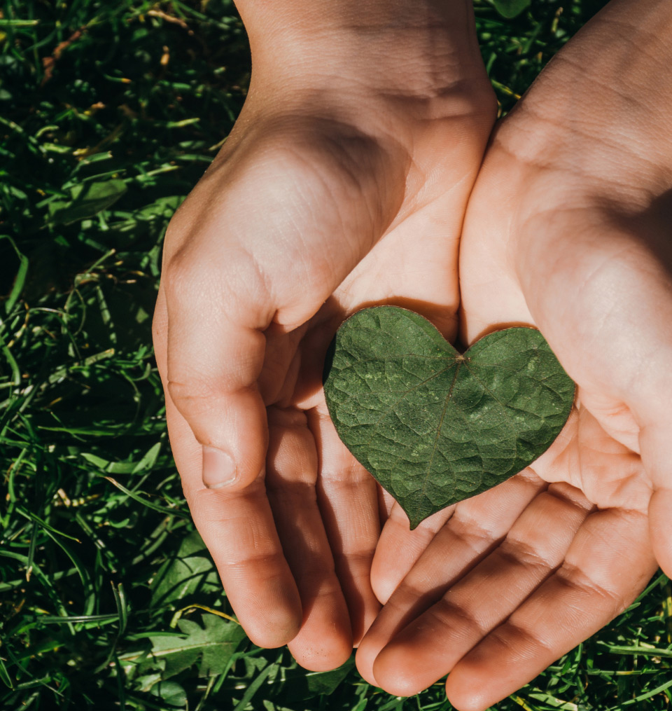 Sustainability - The ethical choices of Composit